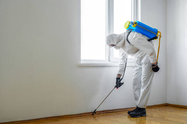 Best Emergency Pest Control  in Lamoni, IA