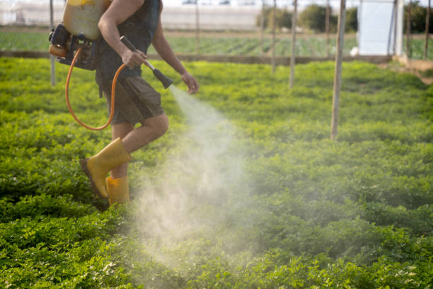 Best Pest Inspection Near Me  in Lamoni, IA