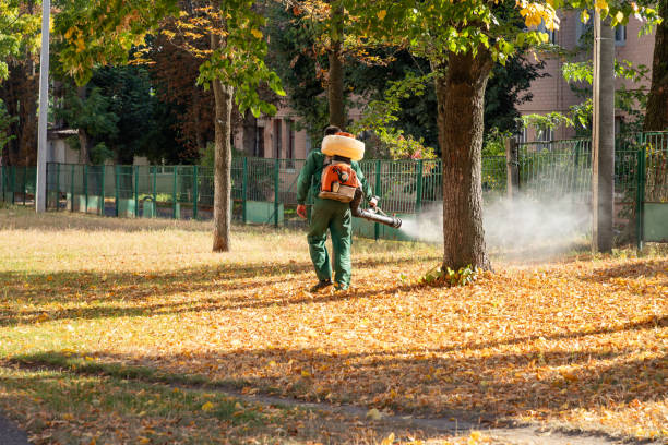 Best Affordable Pest Control Services  in Lamoni, IA